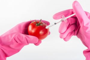 pomodoro geneticamente modificato-f81bd3cb